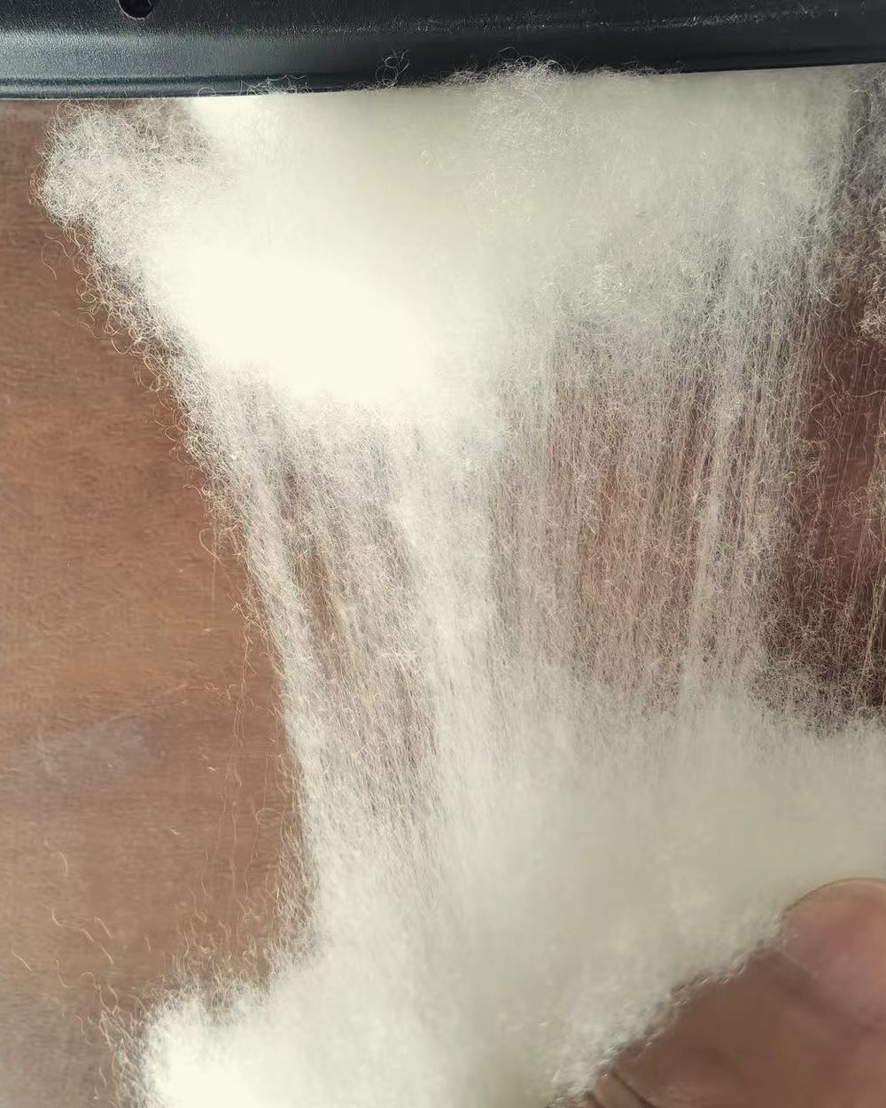 Spun into yarn